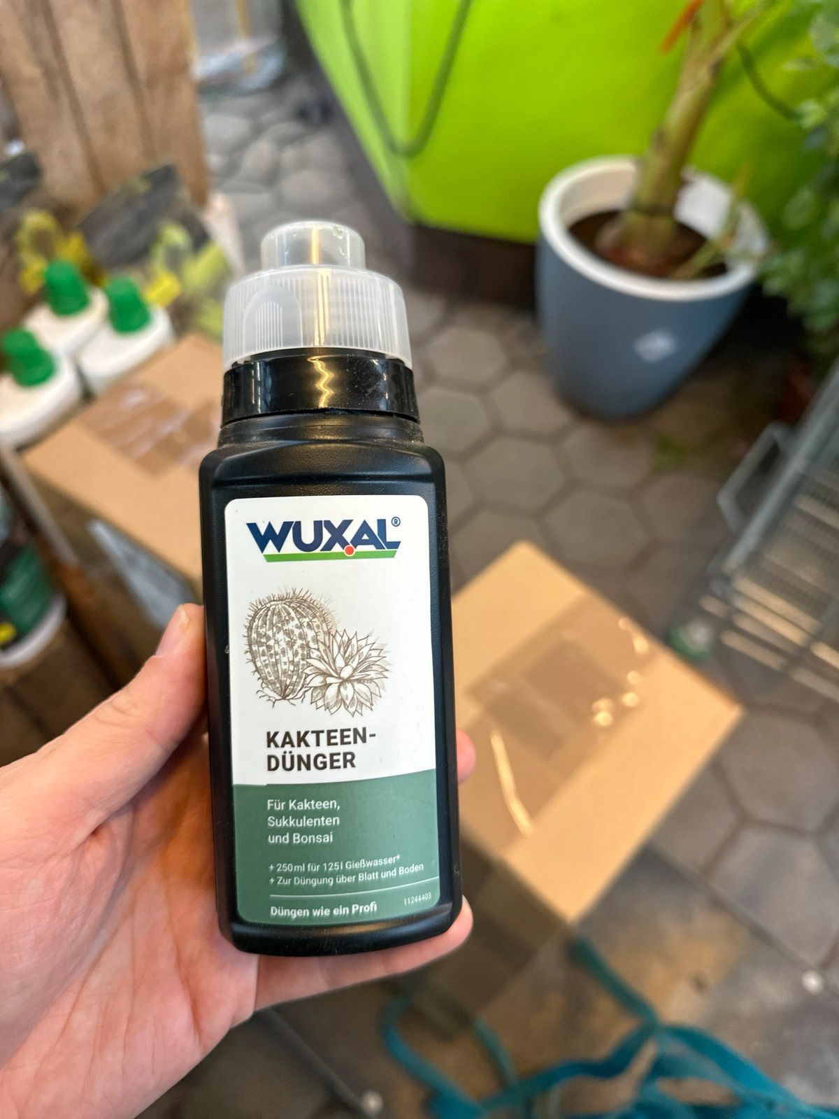 Wuxal Kakteendünger 250mL Spezialdünger