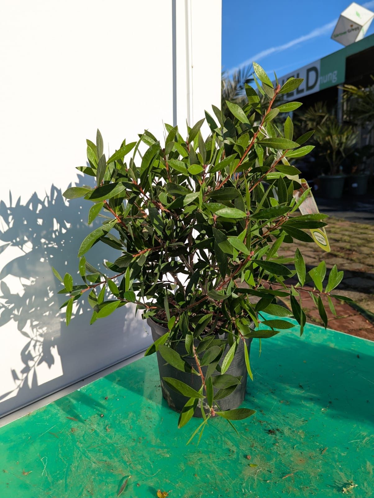 Zylinderputzer 50-70cm